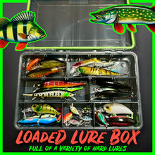 Load image into Gallery viewer, Lure Fishing Tackle Box Fully Loaded With Lures. - FiSH i UK