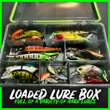 Load image into Gallery viewer, Lure Fishing Tackle Box Fully Loaded With Lures. - FiSH i UK
