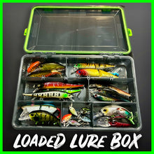 Load image into Gallery viewer, Lure Fishing Tackle Box Fully Loaded With Lures. - FiSH i UK