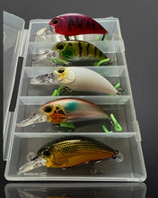 Load image into Gallery viewer, Crankbait Lure Plug Set.5 x Lures per set in plastic storage Case.