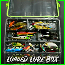 Load image into Gallery viewer, Lure Fishing Tackle Box Fully Loaded With Lures. - FiSH i UK