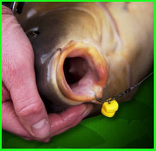 Load image into Gallery viewer, Buoyant Double Yellow Sweetcorn-10 Per Pack-Artificial Carp Bait-Fake Corn-Artificial Corn.
