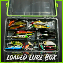 Load image into Gallery viewer, Lure Fishing Tackle Box Fully Loaded With Lures. - FiSH i UK