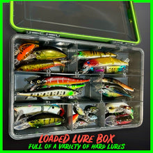 Load image into Gallery viewer, Lure Fishing Tackle Box Fully Loaded With Lures. - FiSH i UK