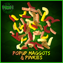 Load image into Gallery viewer, Pop-Up Maggots &amp; Pinkies – Mixed Colours – 50 Pack