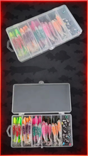 Load image into Gallery viewer, 61pc Soft Lure Fishing Kit – T-Tail Jighead &amp; Texas Rig Set-Fish i Tackle Predator kit.