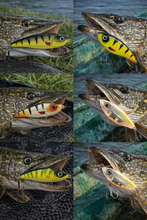 Load image into Gallery viewer, Slow Sinking Jerkbait Slider Lure 11.5cm 36g | Pike Zander Perch Fishing Lure UK | Rattle Jerkbait Hard Lure | Predator Fishing