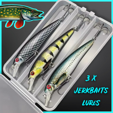 Load image into Gallery viewer, Jerkbait Fishing Lures.3 Lures in Storage box.13g Sinking Minnow Style Lures (Set1) - FiSH i UK