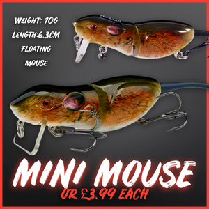 chinese plastic mice fishing lure Spirebuzz Ratstrike Lure,Spirebuzz Ratstrike 3D Lifelike Rat Topwater Lure,Premium Bionic Spirebuzz Mouse Lure,for Bass Trout,Catfish,for Freshwater Saltwater Angling(6pcs) : Sports & Outdoors FR035 Color Mouse Fishing Lures Ana