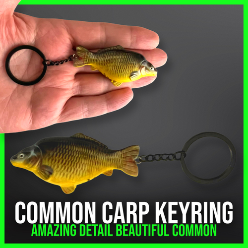 Common Carp Keyring - Common Carp Keychain. New to us for 2025 - FiSH i UK