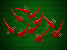 Load image into Gallery viewer, Bug Line Aligners. 20 per pk - FiSH i UK
