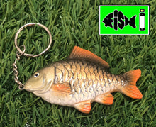 Load image into Gallery viewer, Common Carp Keyring. (Brown) - FiSH i 