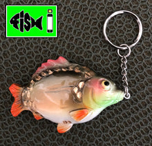 Load image into Gallery viewer, Mirror Carp Keyring. - FiSH i 
